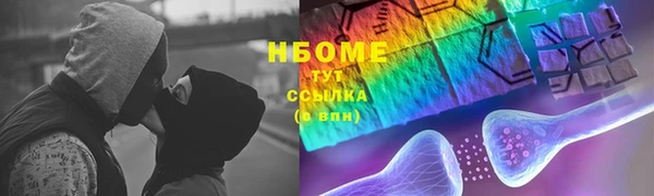 прущие грибы Беломорск