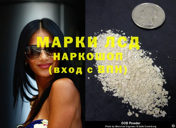 ПСИЛОЦИБИНОВЫЕ ГРИБЫ Баксан