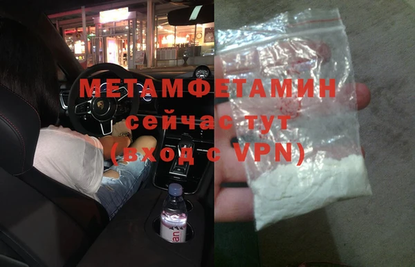 прущие грибы Беломорск