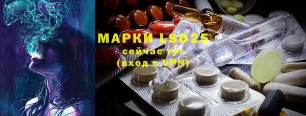 ПСИЛОЦИБИНОВЫЕ ГРИБЫ Баксан