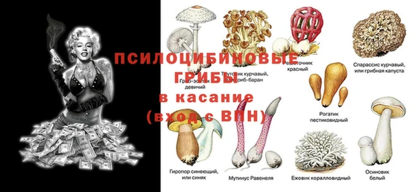метамфетамин Белокуриха
